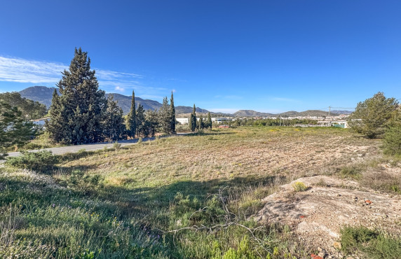 For Sale - Plot - Hondón de las Nieves - COLLAO