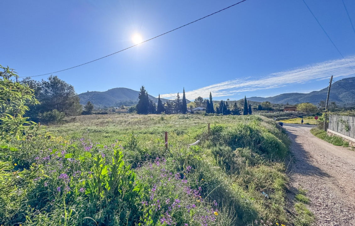 For Sale - Plot - Hondón de las Nieves - COLLAO