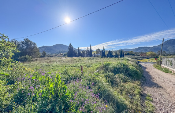 For Sale - Plot - Hondón de las Nieves - COLLAO