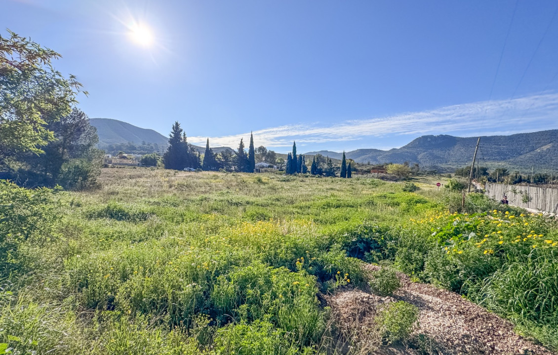 For Sale - Plot - Hondón de las Nieves - COLLAO