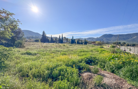 For Sale - Plot - Hondón de las Nieves - COLLAO