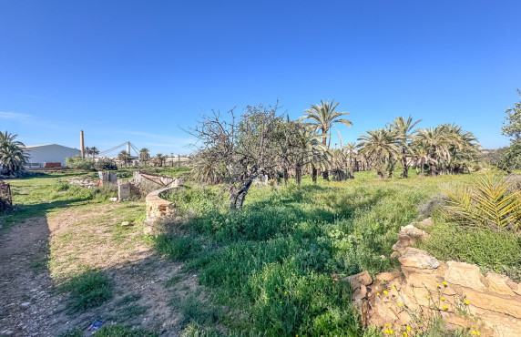 For Sale - Rural House - Elche - La galia