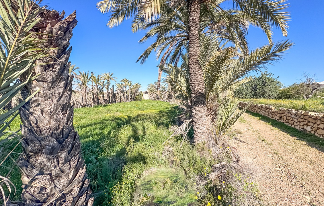 For Sale - Rural House - Elche - La galia