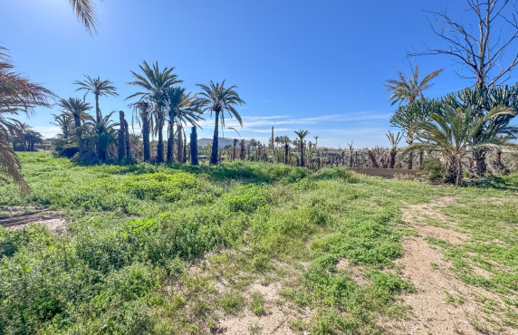 For Sale - Rural House - Elche - La galia