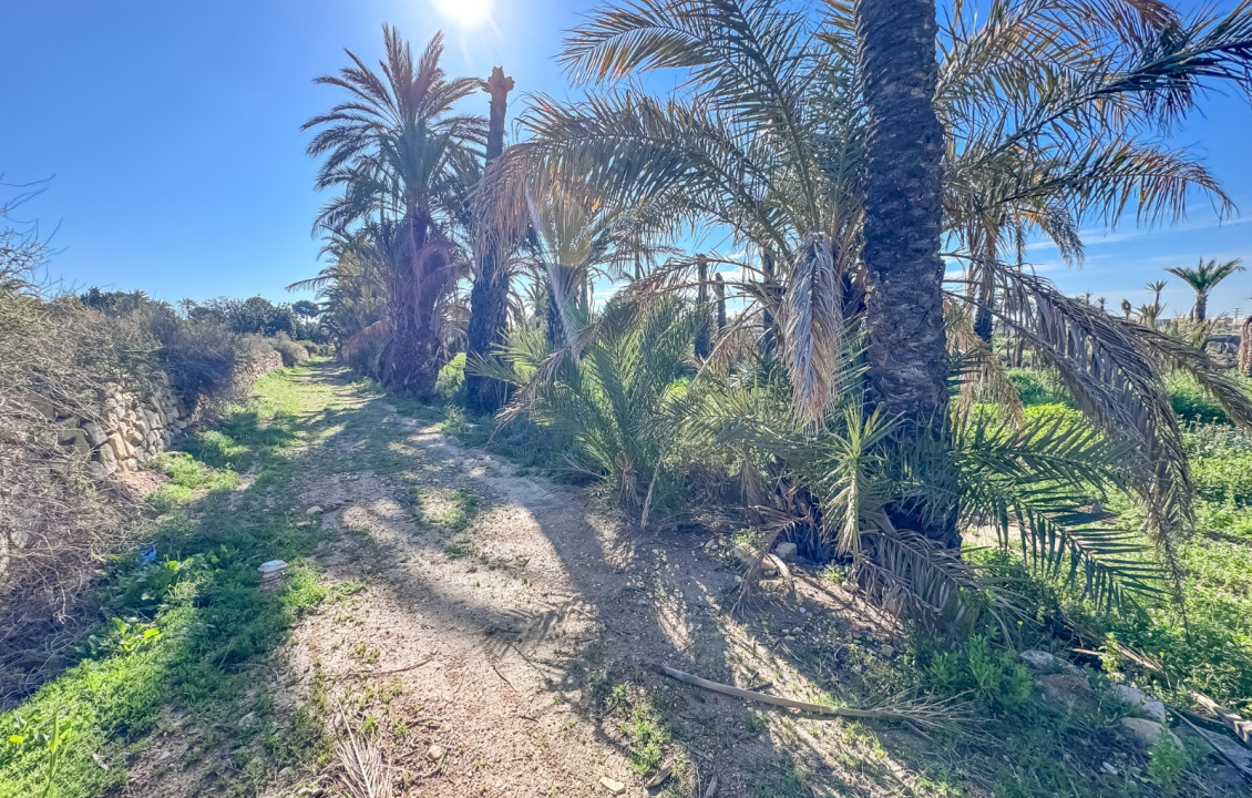 For Sale - Rural House - Elche - La galia