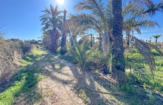 For Sale - Rural House - Elche - La galia