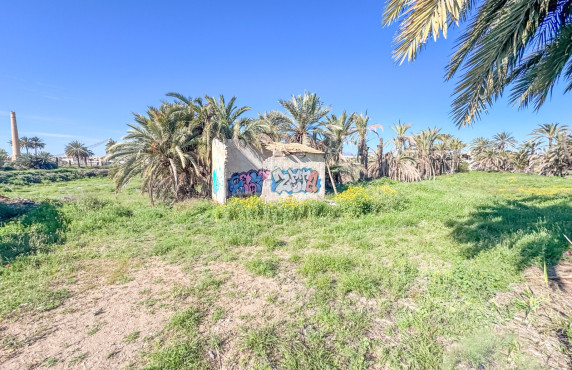 For Sale - Rural House - Elche - La galia