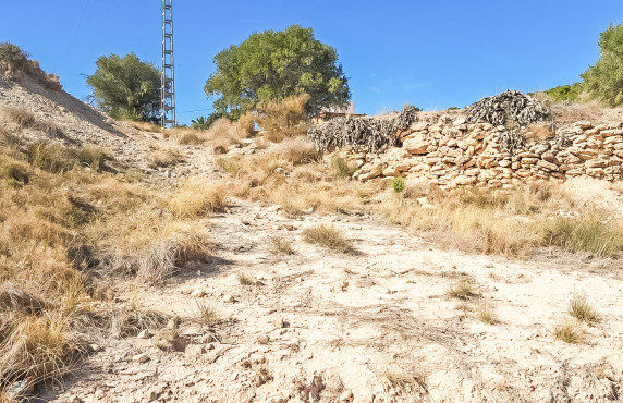 For Sale - Plot - Elche - La galia