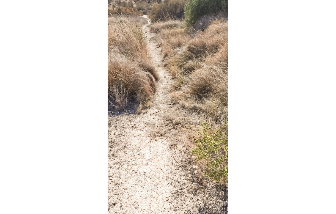 For Sale - Plot - Elche - La galia