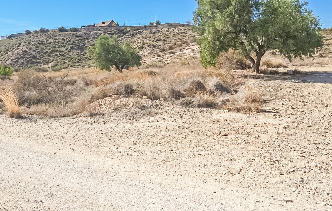 For Sale - Plot - Elche - La galia