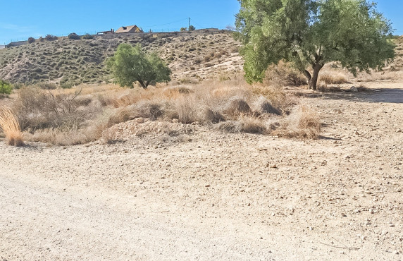 For Sale - Plot - Elche - La galia