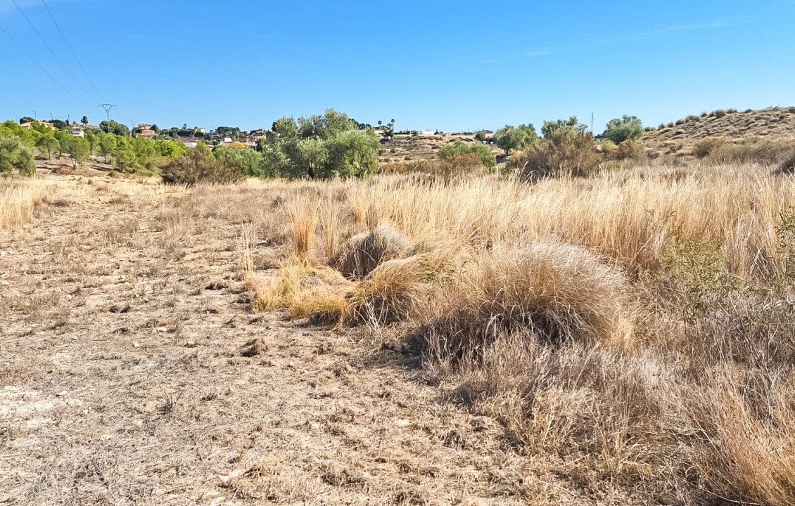 For Sale - Plot - Elche - La galia