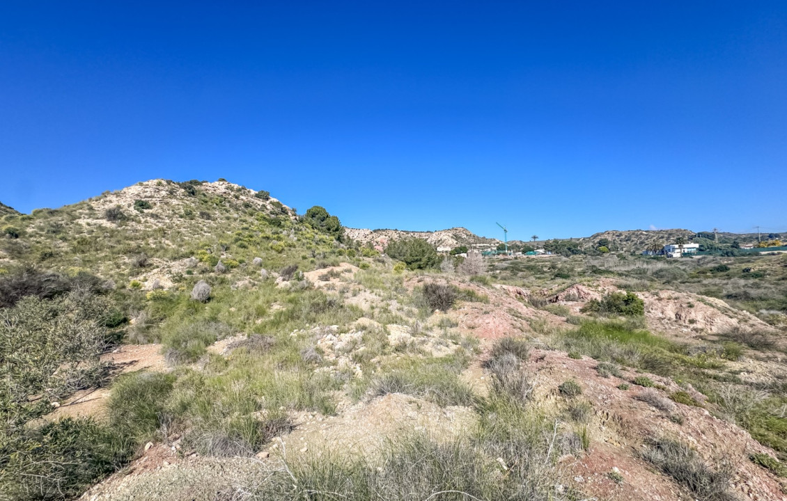 Venta - Parcela - Elche - Ferriol