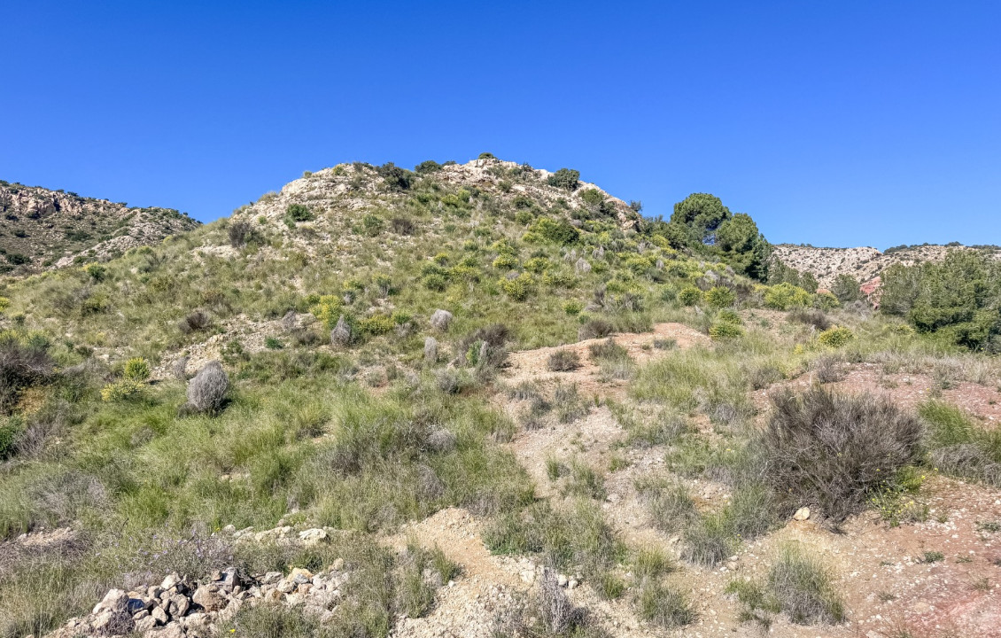 Venta - Parcela - Elche - Ferriol