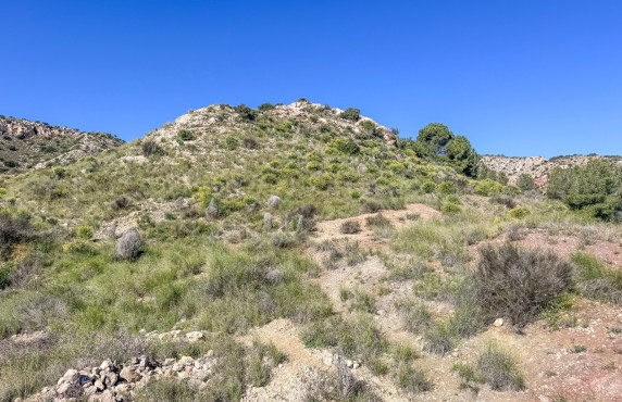 Venta - Parcela - Elche - Ferriol