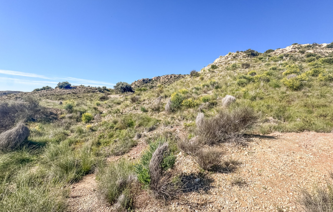 Venta - Parcela - Elche - Ferriol