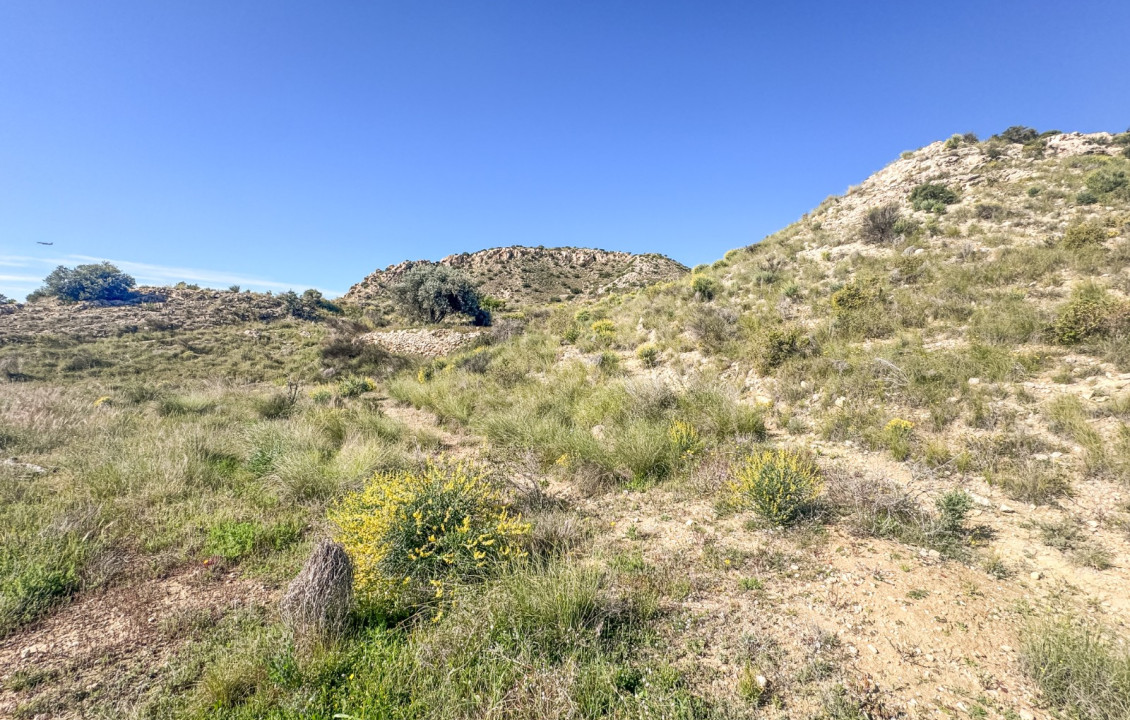 Venta - Parcela - Elche - Ferriol