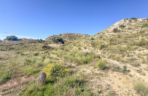 Venta - Parcela - Elche - Ferriol