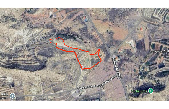 Venta - Parcela - Elche - Ferriol