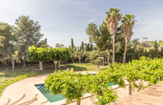 For Sale - Chalet - Elche - Bonavista