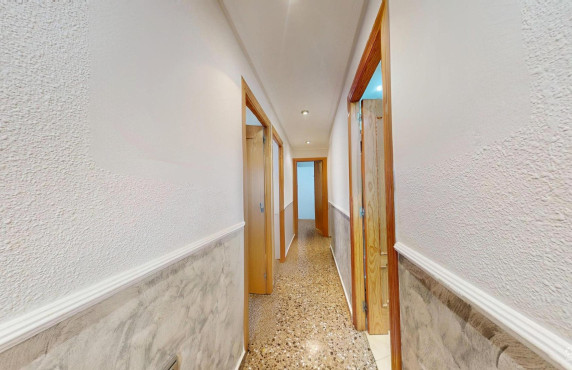Venta - Piso - Alicante - Carolinas bajas