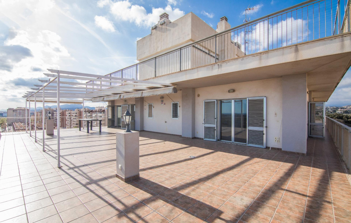 For Sale -  - Elche - Zona Deportiva-Nuevo Altabix