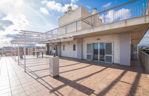 For Sale -  - Elche - Zona Deportiva-Nuevo Altabix