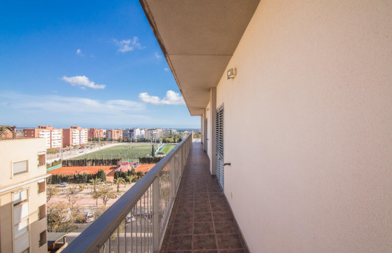 For Sale -  - Elche - Zona Deportiva-Nuevo Altabix