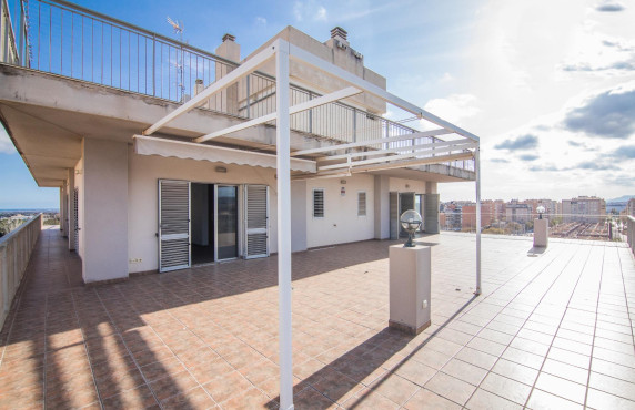 For Sale -  - Elche - Zona Deportiva-Nuevo Altabix