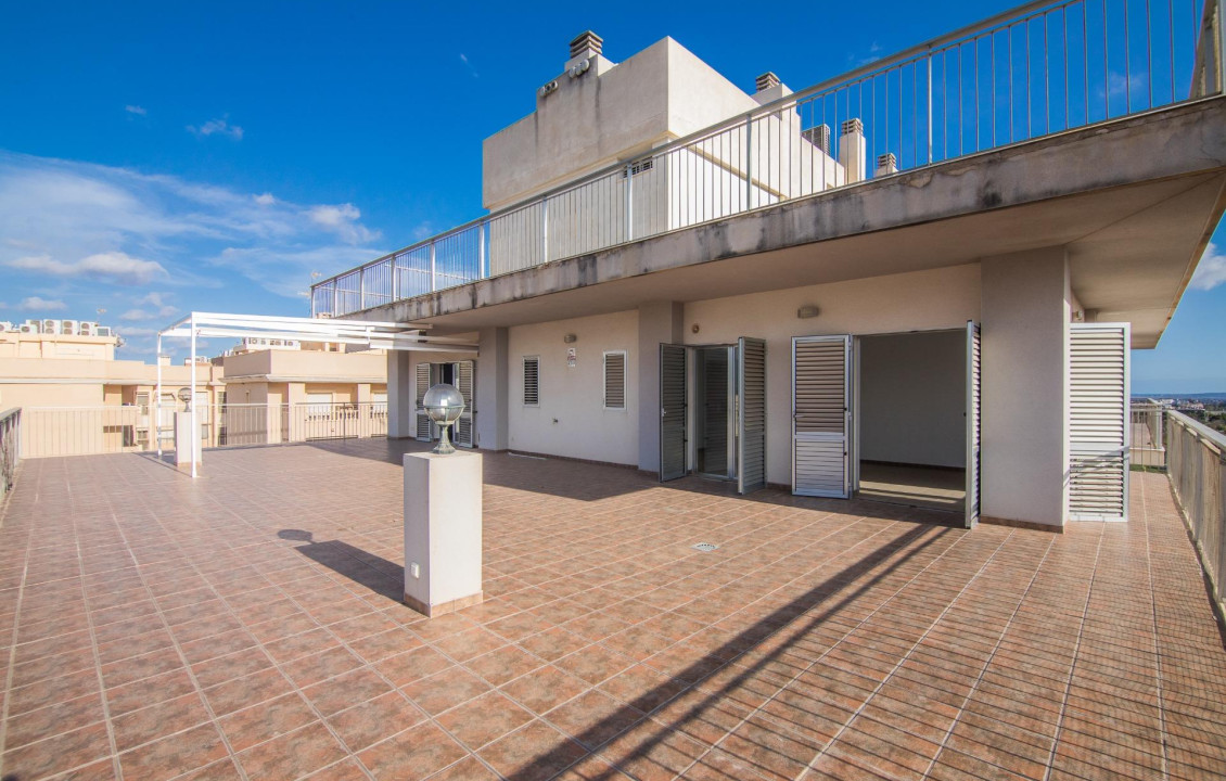 For Sale -  - Elche - Zona Deportiva-Nuevo Altabix