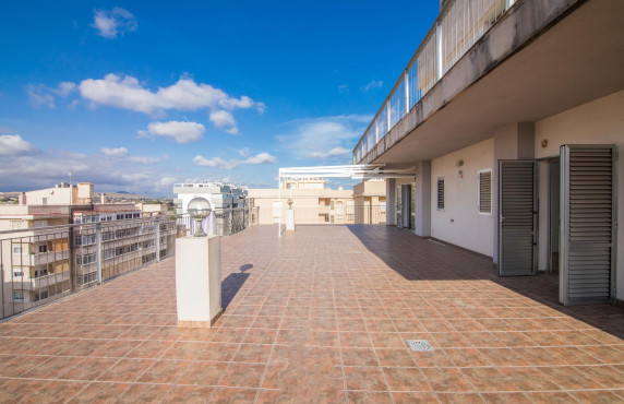 For Sale -  - Elche - Zona Deportiva-Nuevo Altabix