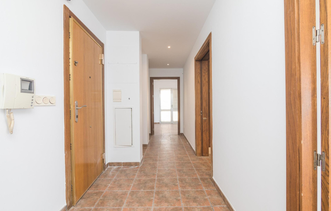 For Sale -  - Elche - Zona Deportiva-Nuevo Altabix