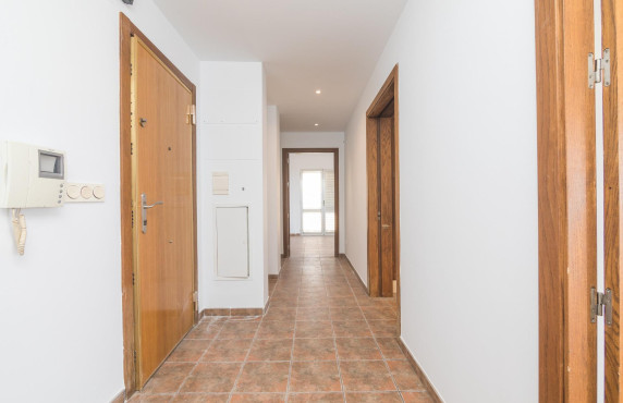 For Sale -  - Elche - Zona Deportiva-Nuevo Altabix