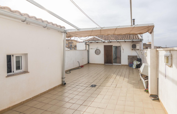 For Sale -  - Pinoso - Comunidad valenciana