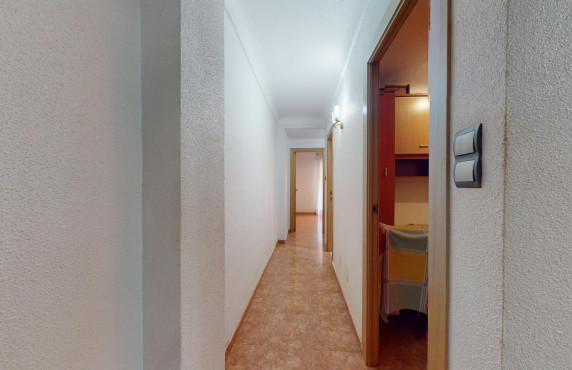 For Sale -  - Elche - Plaza Crevillente-Juzgados