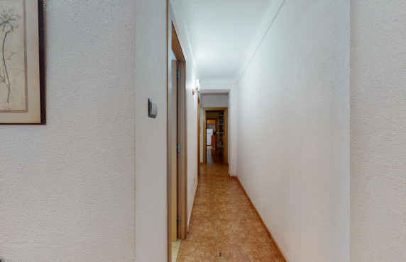 For Sale -  - Elche - Plaza Crevillente-Juzgados