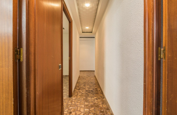 For Sale -  - Elche - Centro