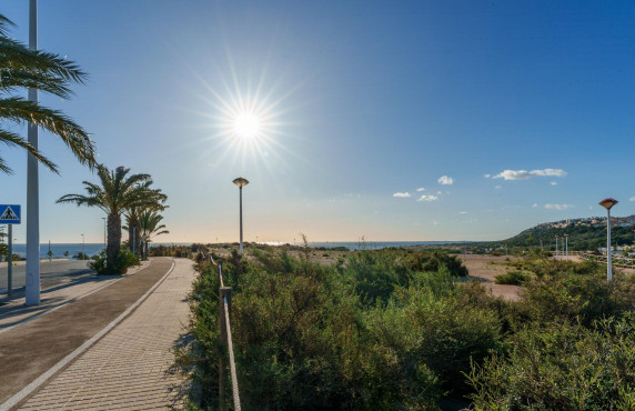 For Sale - penthouse - Arenales del sol - Arenales del Sol