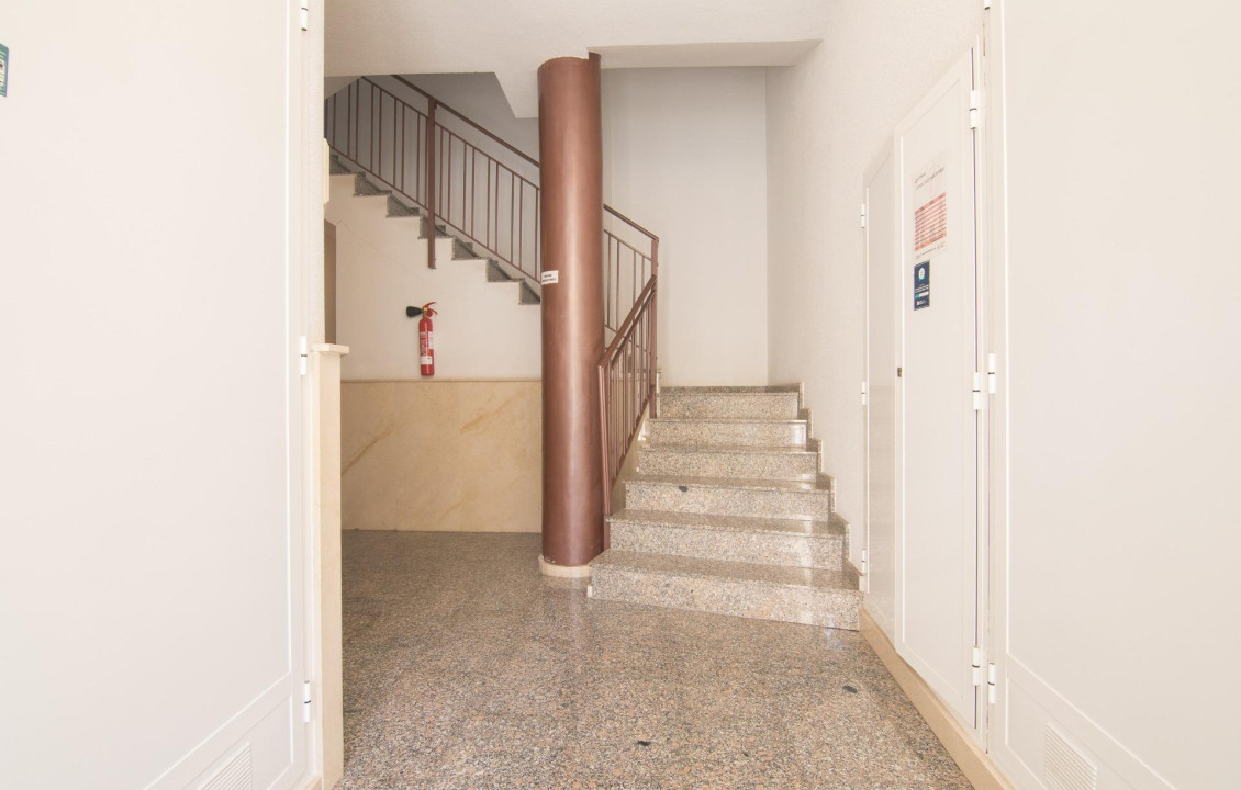 Venta - Estudio - El altet