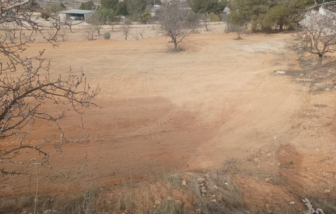 Venta - Casa Tipo Dúplex - Hondon de los Frailes - HONDON D ELOS FRAILES ALICANTE ESPAÑA