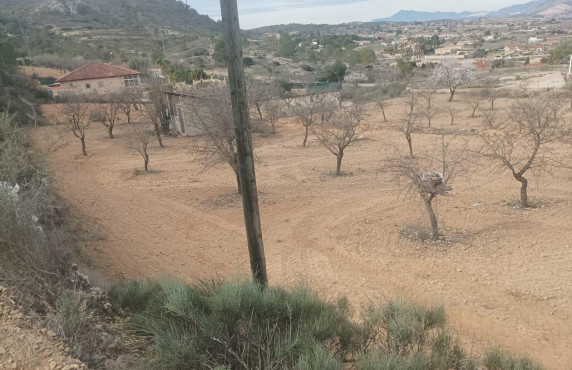 Venta - Casa Tipo Dúplex - Hondon de los Frailes - HONDON D ELOS FRAILES ALICANTE ESPAÑA
