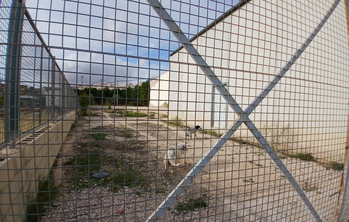 Venta - Almacén - Algueña - Algeña alicante