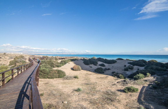 Venta - Apartamento - Arenales del sol - Arenales del Sol