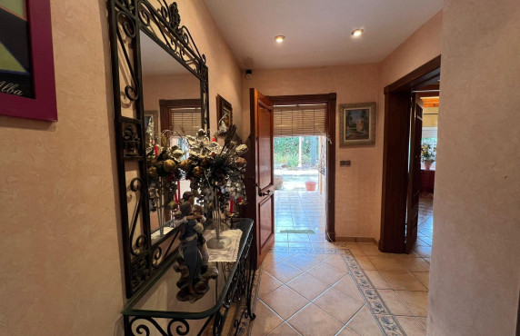 For Sale -  - Elche - Jubalcoi-Saladas