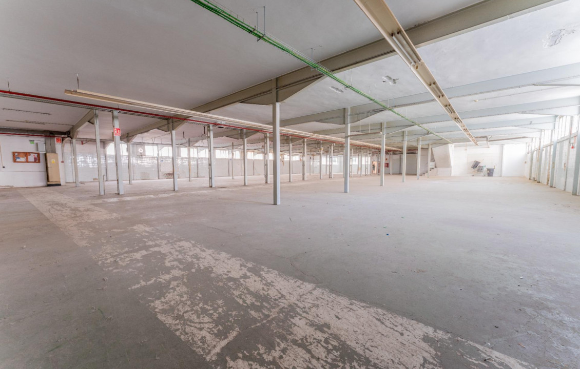 For Sale -  - Elche - Toscar