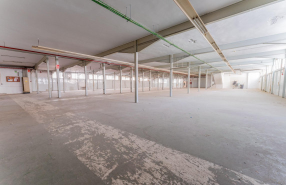 For Sale -  - Elche - Toscar