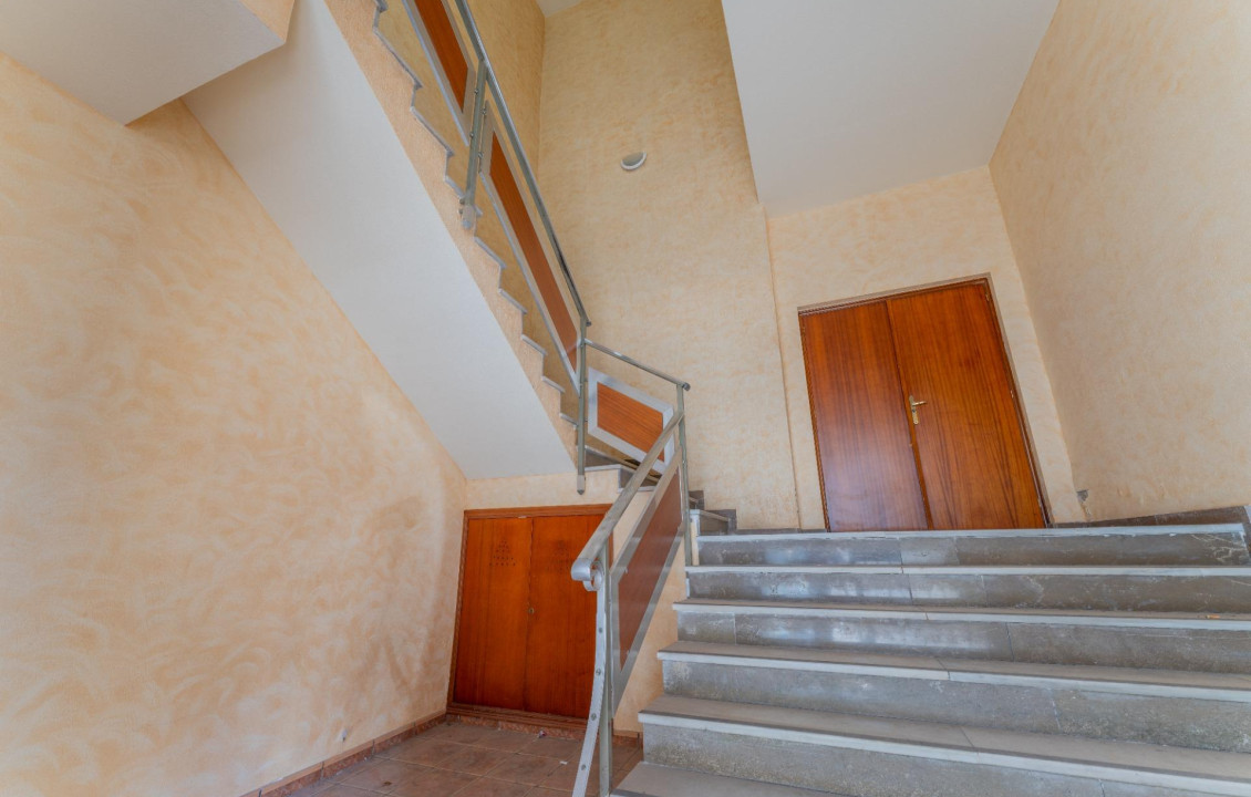 For Sale -  - Elche - Toscar