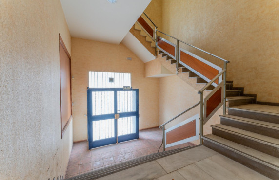 For Sale -  - Elche - Toscar