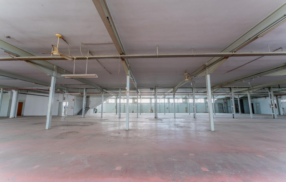 For Sale -  - Elche - Toscar