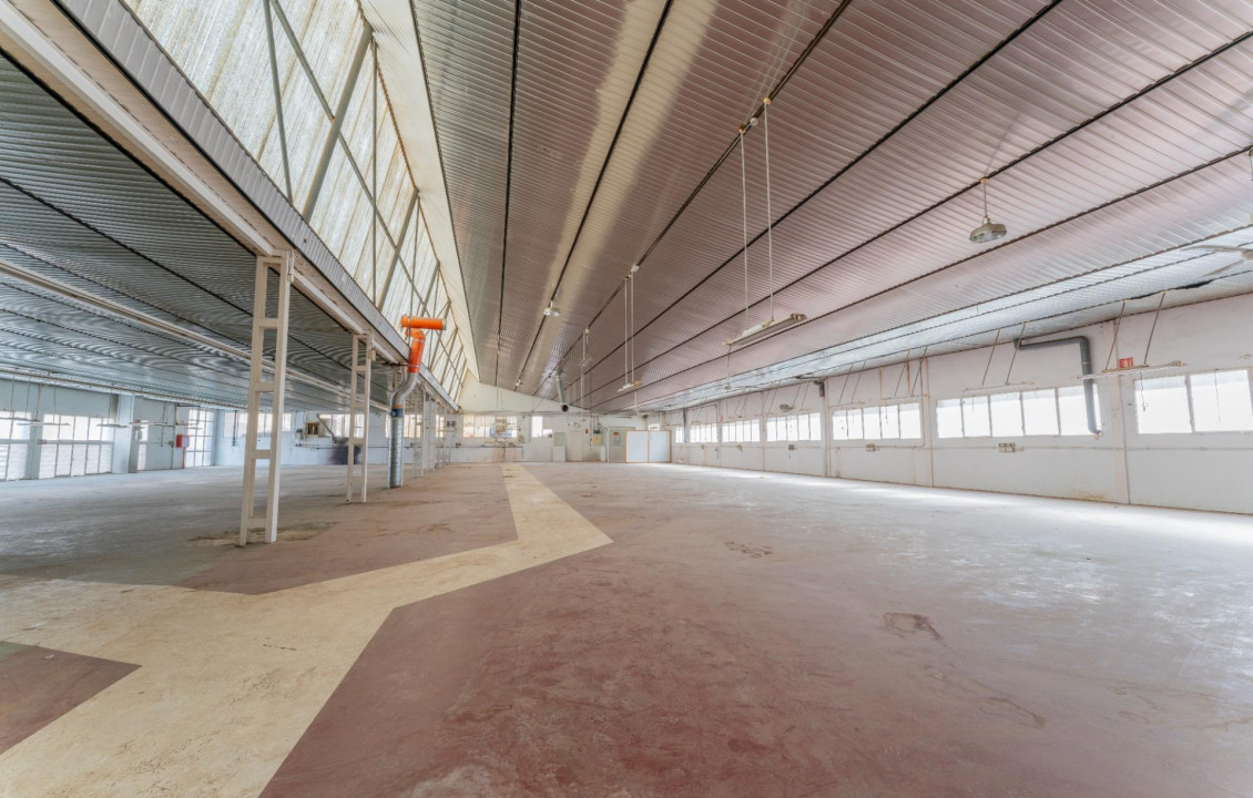 For Sale -  - Elche - Toscar